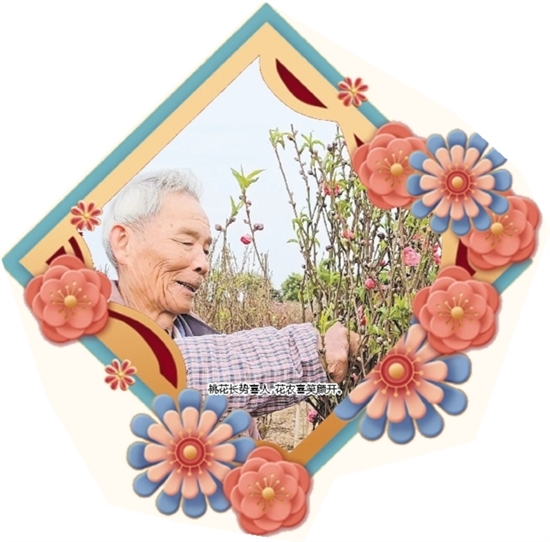 桃花長(zhǎng)勢(shì)喜人，花農(nóng)喜笑顏開。