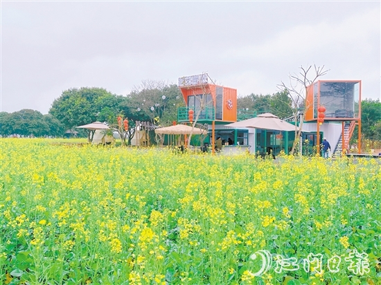大沙鎮(zhèn)蕉園營地。