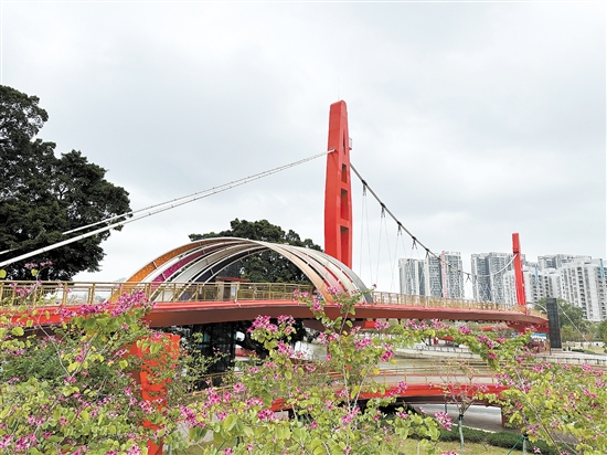 江門公園遍地開花，景色宜人。