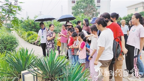 市民在嶺南藥用植物園學(xué)習(xí)辨認(rèn)常用的藥用植物。