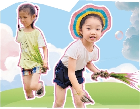 蓬江區(qū)第一幼兒園的小朋友們體驗(yàn)插秧。