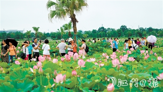 梅江農(nóng)業(yè)生態(tài)園迎來大批市民游客前來打卡。