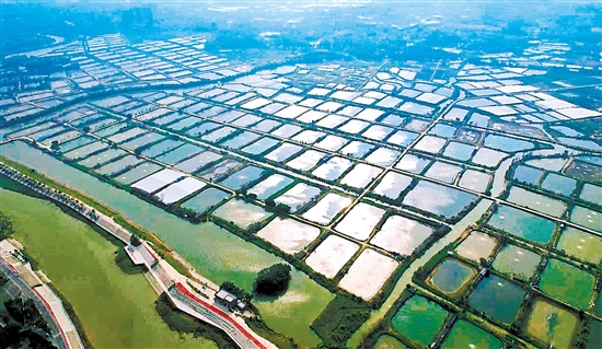 古勞鎮(zhèn)大埠村將以強(qiáng)經(jīng)濟(jì)、促和美、惠民生為主攻方向，以打造“廣東省休閑農(nóng)業(yè)與鄉(xiāng)村旅游示范點(diǎn)”為目標(biāo)，以推進(jìn)中鐵文旅·田園綜合體、美麗漁場(chǎng)、光伏發(fā)電、“云龍競(jìng)渡”綜合觀光樓等項(xiàng)目為抓手，促進(jìn)農(nóng)文康旅融合高質(zhì)量發(fā)展。古勞鎮(zhèn)供圖