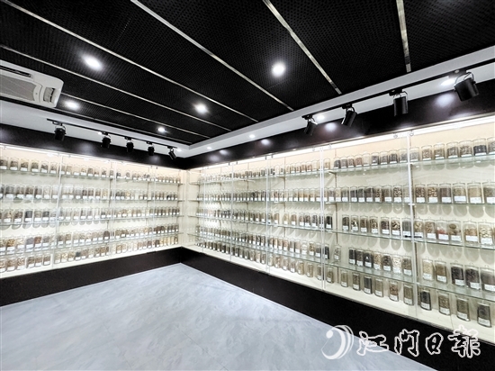 中藥篇展廳中央展區(qū)擺放著近100種藥材。
