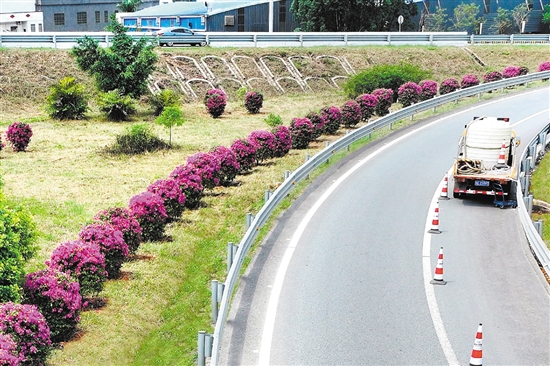 開(kāi)陽(yáng)高速公路形成一條路中有景、景中有路的綠美交通廊道。