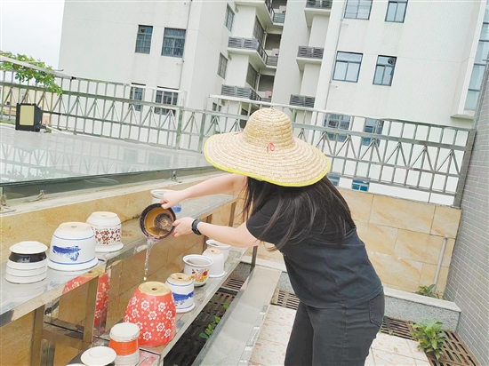 市民清理閑置積水容器，防止蚊蟲孳生。