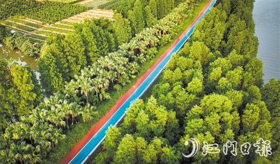 江海區(qū)鄉(xiāng)村綠廊碧帶串聯(lián)多個公園和自然景觀區(qū)，成為市民休閑娛樂的好去處。