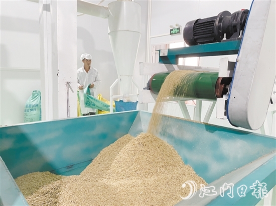 源林生態(tài)有機米的年產(chǎn)量達700噸。