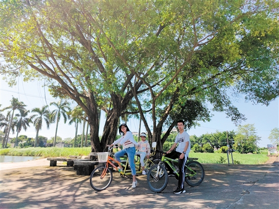 深圳游客在江門暢享“3.3精彩之旅”。
