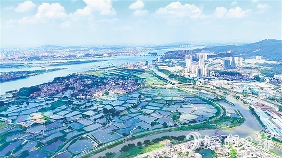 沙坪街道大力開展人居環(huán)境整治大行動，在環(huán)境整治和風(fēng)貌提升上雙向發(fā)力，運用“加減法”做好鄉(xiāng)村風(fēng)貌治理，帶動各村（社區(qū)）人居環(huán)境“顏值”再提升。