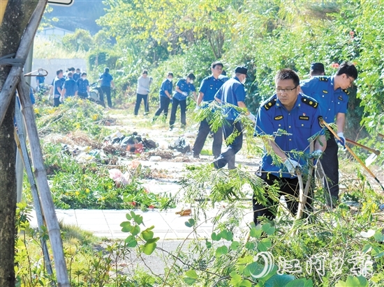 區(qū)城市管理綜合執(zhí)法局在豐樂路省實江門學(xué)校東門段開展雜草清理工作。