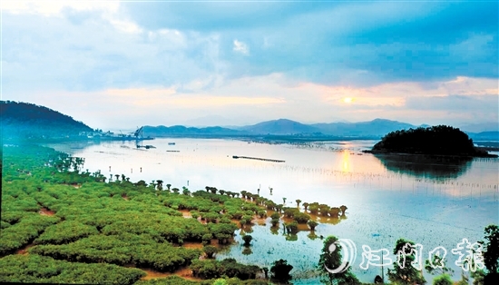 恩平擁有大灣區(qū)連片面積最大的紅樹(shù)林——約373.33公頃（5600畝）鎮(zhèn)海灣紅樹(shù)林。