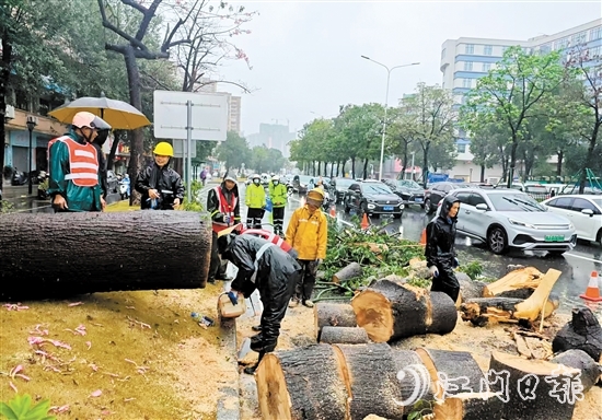 經(jīng)過加急作業(yè)，工作人員完成部分路段的清障工作，讓車輛順利通行。