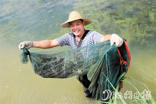 “信用+金融服務(wù)”有效解決養(yǎng)殖戶資金難題。