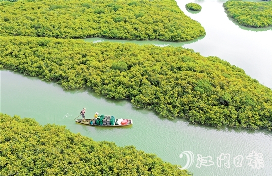 優(yōu)質(zhì)豐富的生態(tài)資源是恩平的核心優(yōu)勢，也是恩平市推動(dòng)經(jīng)濟(jì)社會(huì)高質(zhì)量發(fā)展的重要依托。