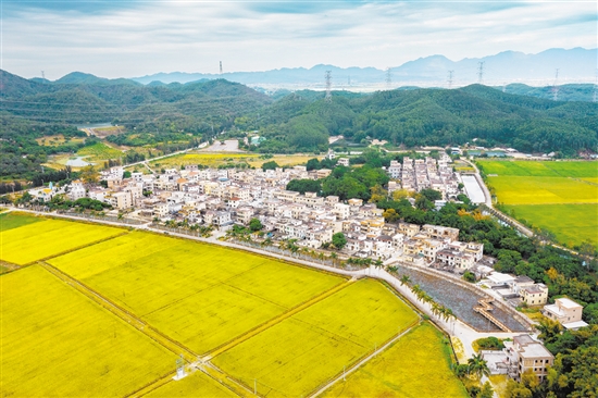 赤溪鎮(zhèn)護(hù)嶺村是客家人聚居村,先后入選廣東省首批“百千萬(wàn)工程”典型村、廣東省鄉(xiāng)村振興示范村創(chuàng)建名單。