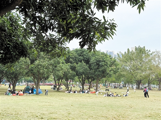 天氣晴好，不少市民到公園草坪露營野餐。