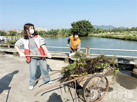當(dāng)天，黨員干部、志愿者與群眾共同投身于一場(chǎng)清潔行動(dòng)。