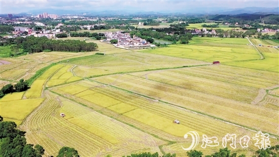 南塘村通過(guò)“兩預(yù)兩委托”模式，成功整合約73.33公頃（1100多畝）田地，依托農(nóng)村“三資”管理平臺(tái)流轉(zhuǎn)給專(zhuān)業(yè)農(nóng)業(yè)公司開(kāi)展大規(guī)模種植。