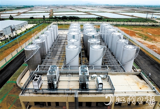 廣東合興食用油有限公司將新廠區(qū)建在了斗山鎮(zhèn)。