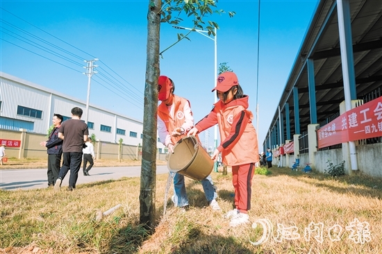 2024年，臺山市植樹10.2萬株，完成計劃任務的144%。