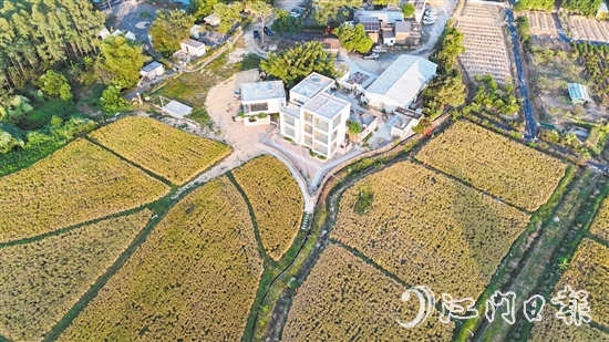 “米倉小筑”民宿設(shè)計巧妙，融合了田園風(fēng)光的悠閑與現(xiàn)代生活的便利。