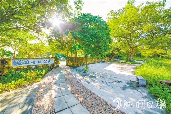 藍(lán)田古樹公園。