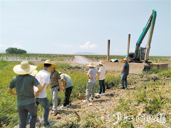 人大代表到紅樹林保護區(qū)進行實地調研。