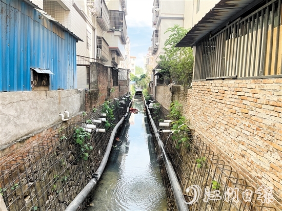 整改前的新昌明渠積存大量污水，長時間暴露后容易發(fā)黑發(fā)臭。