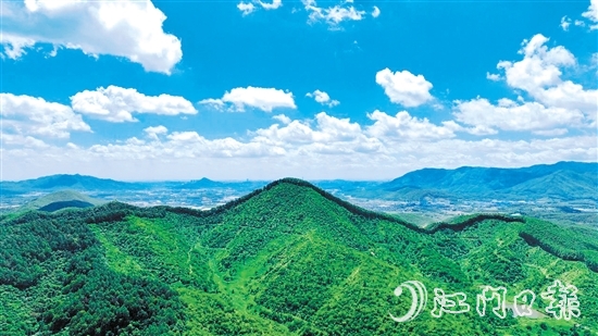 鶴山市現有林地面積54333.33公頃（81.5萬畝），2024年5月，鶴山市被選為廣東唯一、全國21個開展林權登記試點工作的縣（市、區(qū)）之一。