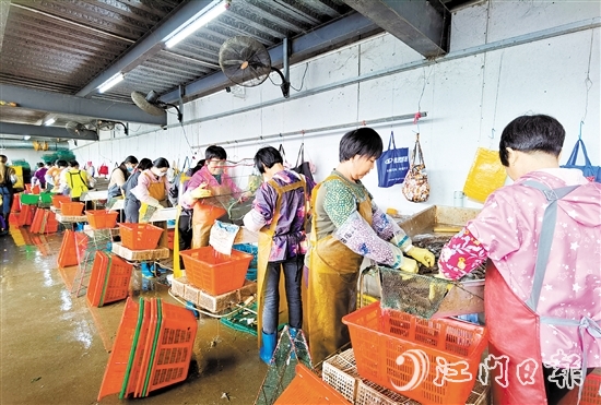 新會(huì)成功培育出國(guó)家首批農(nóng)業(yè)產(chǎn)業(yè)強(qiáng)鎮(zhèn)大鰲鎮(zhèn)，推動(dòng)鄉(xiāng)村產(chǎn)業(yè)振興。