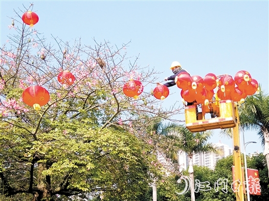在臺山城區(qū)街頭，大紅燈籠高高掛起，將城市街道裝點得喜氣洋洋。