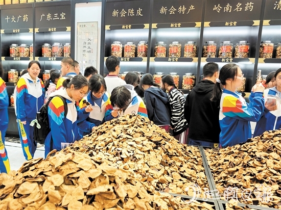 在陳皮展廳，同學(xué)們學(xué)習(xí)辨識不同年份的陳皮。