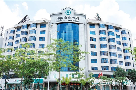 農(nóng)業(yè)銀行江門分行以細(xì)膩入微的筆觸寫好金融“五篇大文章”。