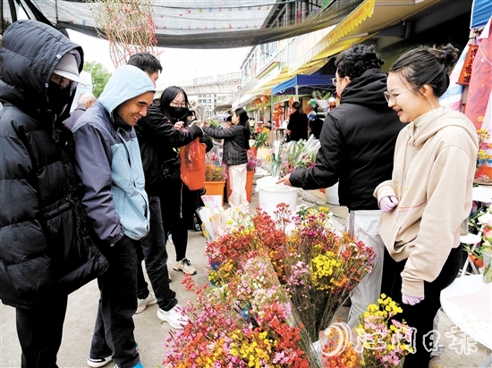 不少市民來(lái)到禮樂街道迎春花市選購(gòu)年花。陳嬋