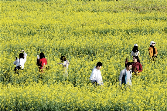 都市農(nóng)業(yè)生態(tài)園一年四季都游人如織。