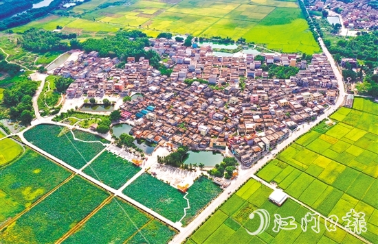 恩平市深入開(kāi)展綠美生態(tài)建設(shè)，人居環(huán)境持續(xù)提升。