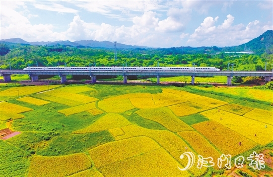 恩平市不斷完善交通網(wǎng)絡(luò)，推進(jìn)深度融灣。圖為江湛鐵路經(jīng)過(guò)恩平。