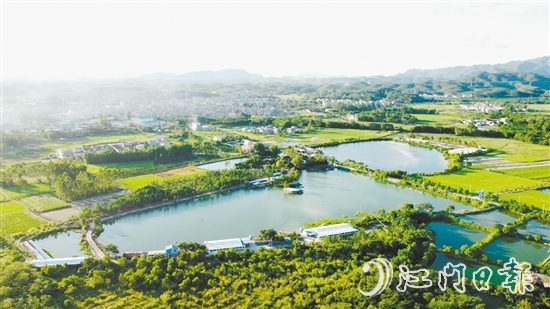 橫東村特色農業(yè)發(fā)展勢頭較好。