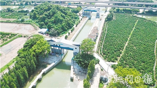 江新聯(lián)圍睦洲樞紐除險(xiǎn)加固工程已基本完工，實(shí)現(xiàn)華麗變身，更好地發(fā)揮自身水利功能。