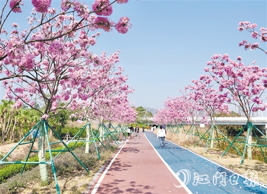 新會(huì)區(qū)推動(dòng)碧道建設(shè)，美麗的風(fēng)光吸引眾多市民、游客前來觀賞。