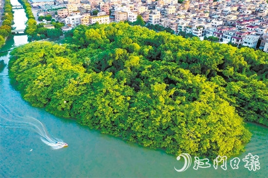 新會(huì)區(qū)加快水經(jīng)濟(jì)試點(diǎn)建設(shè)，推進(jìn)小鳥天堂濕地周邊水系及基礎(chǔ)設(shè)施提升工程，打造綠色水經(jīng)濟(jì)“新會(huì)樣板”。