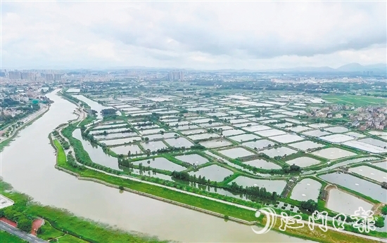 古勞鎮(zhèn)發(fā)動(dòng)魚塘養(yǎng)殖戶開展魚塘清淤，推動(dòng)魚塘養(yǎng)殖增產(chǎn)增收。