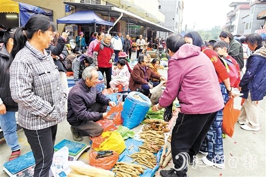 農(nóng)戶將自家種的土特產(chǎn)拿到圩市售賣(mài)。