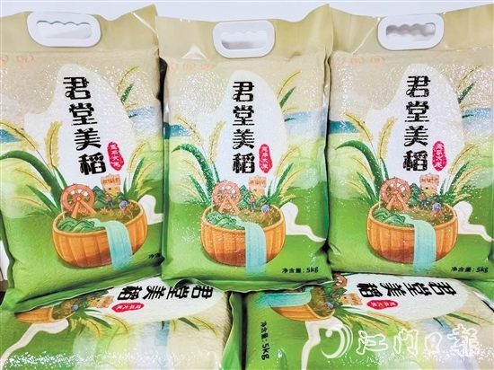 黎塘村以恩平市君江農(nóng)墾投資開發(fā)有限公司為平臺打造“君堂美稻”品牌。