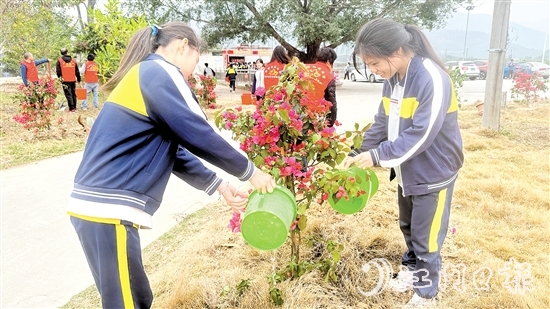 學生參與本次植樹活動。