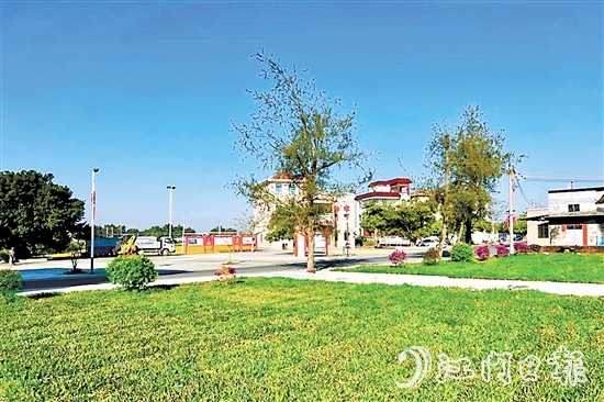 赤溪鎮(zhèn)長(zhǎng)安村掀起新一輪植綠熱潮，擦亮“百千萬工程”典型村的綠美發(fā)展底色。