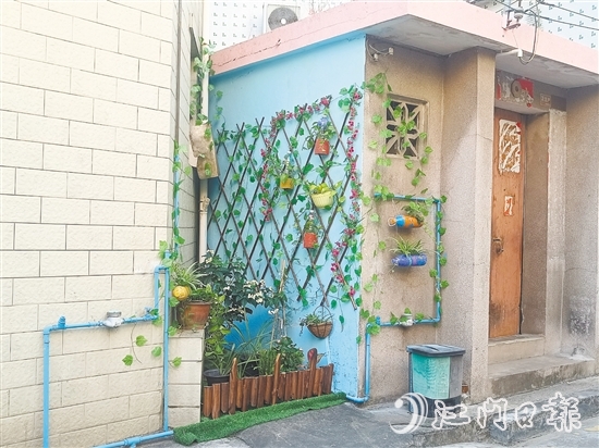 家門口的立體小花園為禾岡村注入生機(jī)與活力。