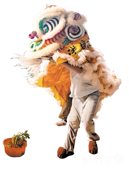 花炮會上，醒獅采青表演十分精彩。