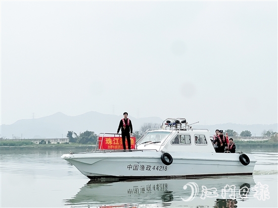 執(zhí)法人員在西江支流新會段進行巡查。
